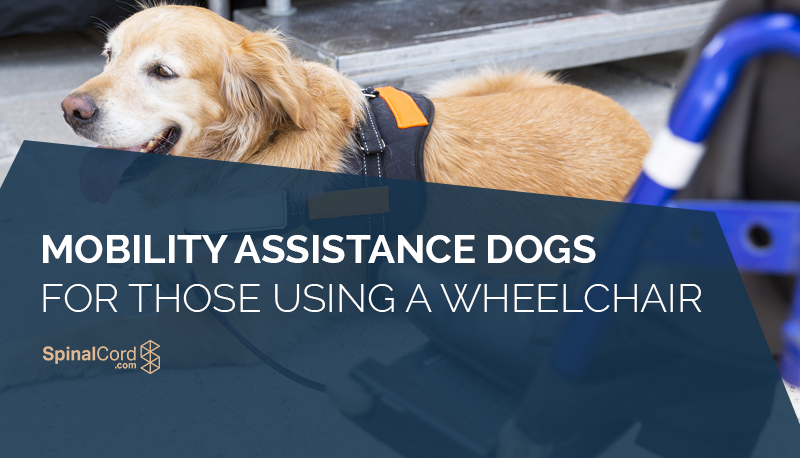 Mobility and wheelchair assistance