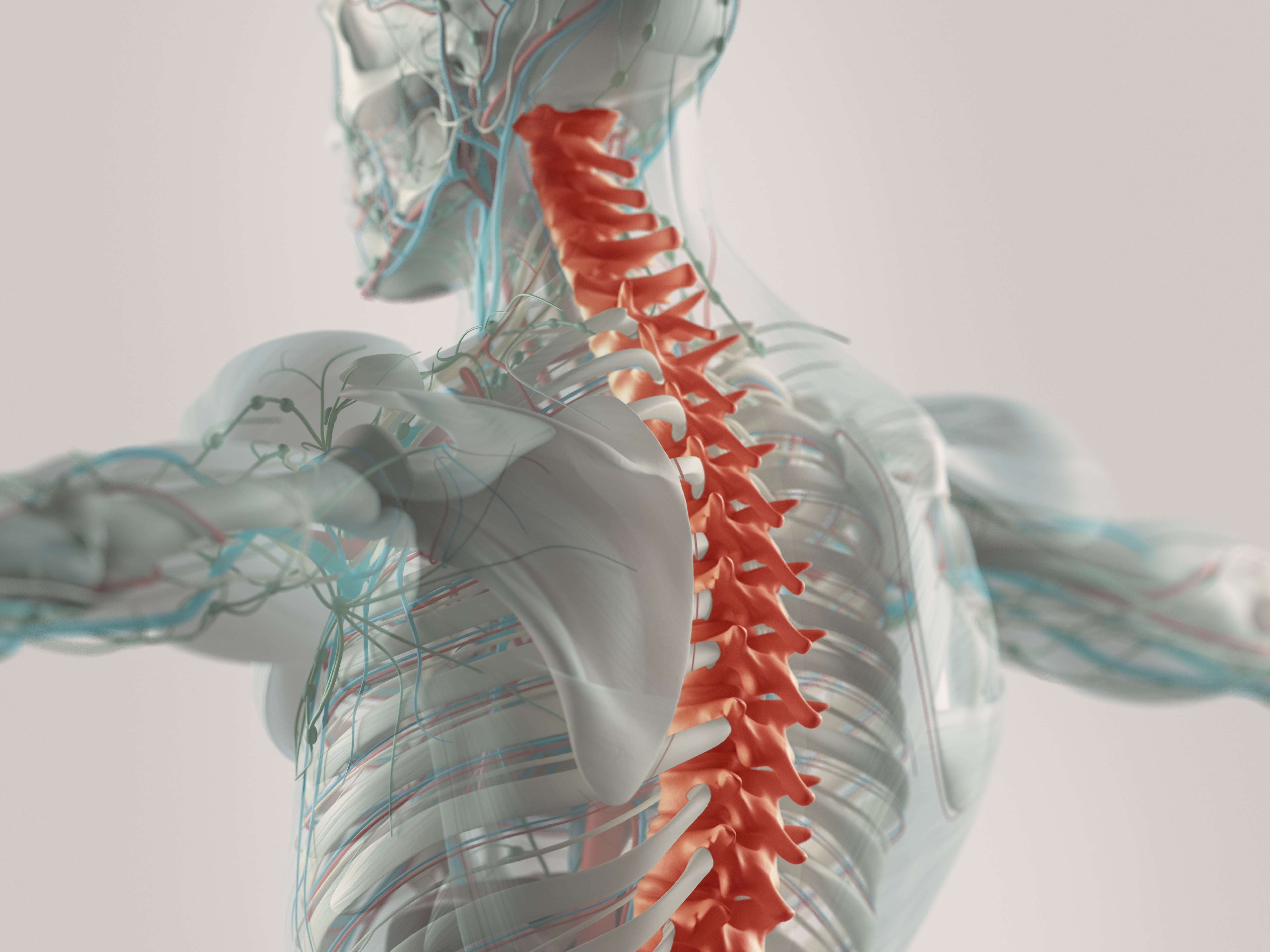 Incomplete Spinal Cord Injury | SpinalCord.com