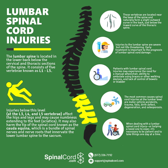 Lumbar Spine Injury L1-L5 | Spinal Cord