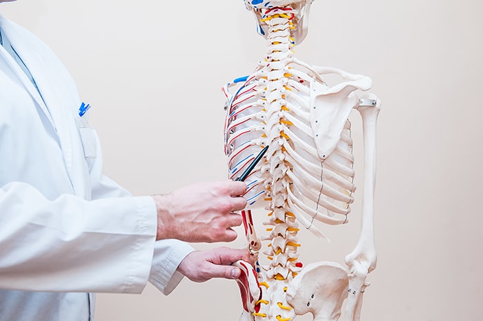 Spinal Cord Injury Types Of Spinal Cord Injuries Spinalcord Com