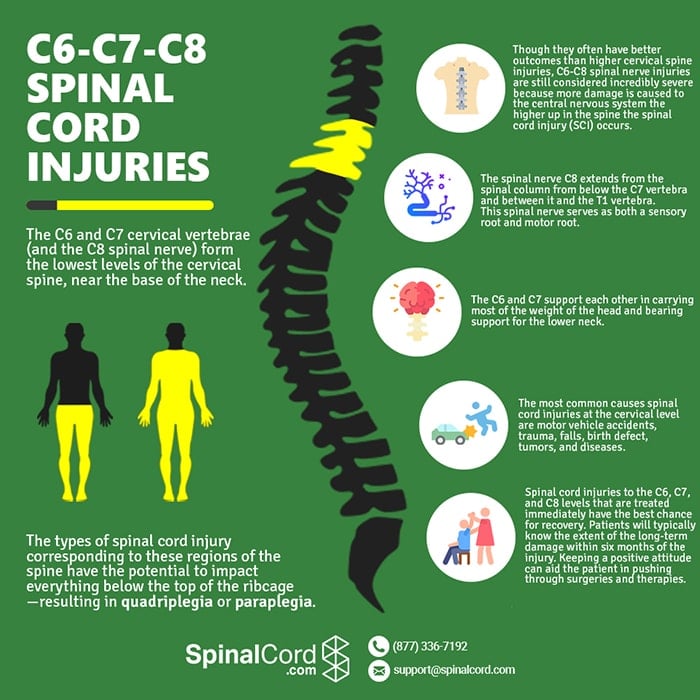 Cervical Spine | C6, C7, C8 Vertebrae | Spinal Cord Injury | Fracture