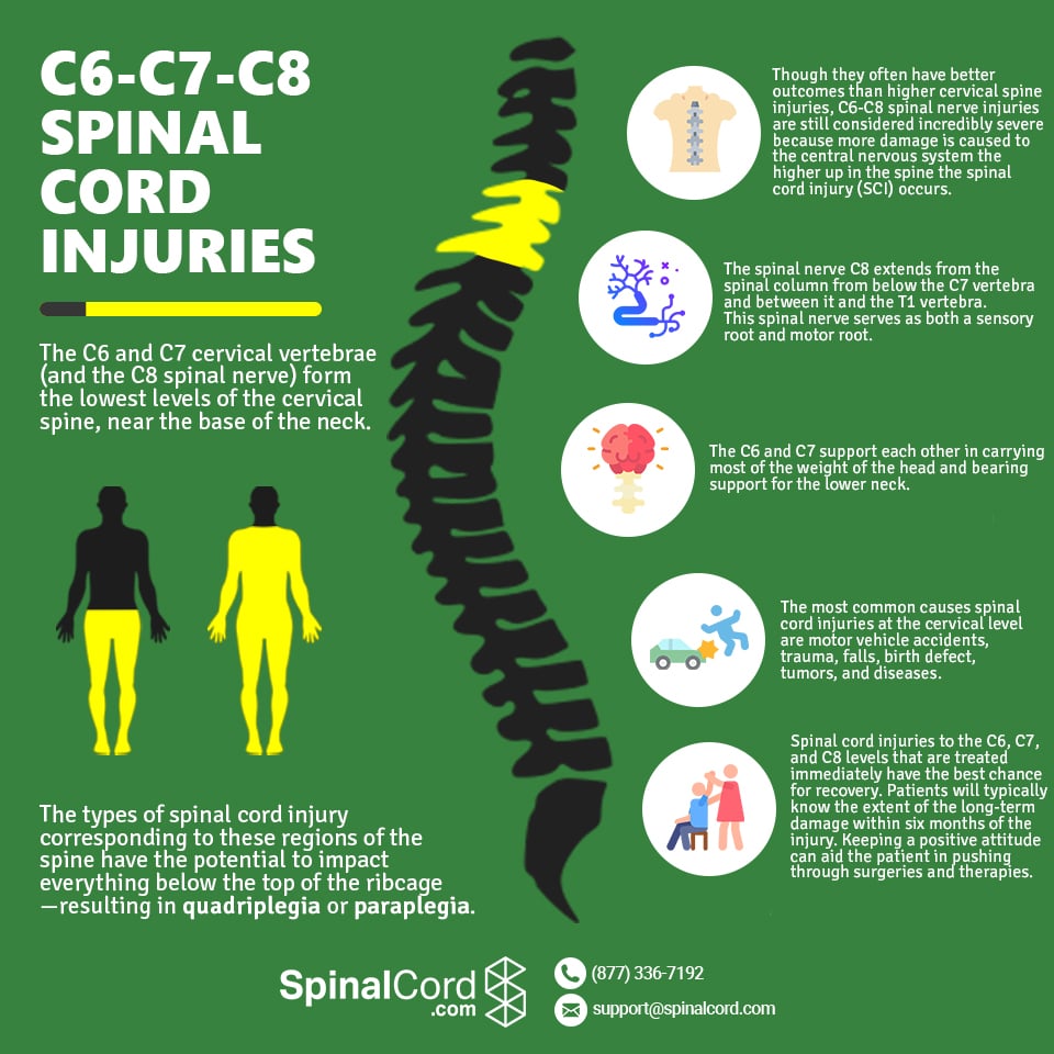 Cervical Spine | C6, C7, C8 Vertebrae | Spinal Cord Injury | Fracture