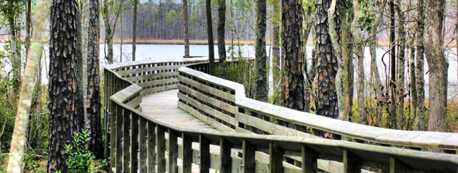 Top Five Accessible State Parks in Florida